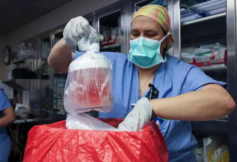 Woman shares post-surgery transformation after receiving man's hand transplantRichard Slayman, 62, received a pioneering pig kidney transplant. Image Credit: Getty