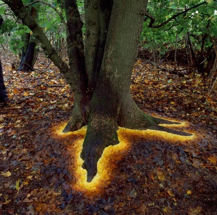 Image Credit: Green____cat