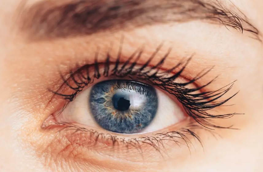 Iris appearance and patterns are genetically determined by about 2,000 genes, a visible DNA trait. Image Credit: Getty