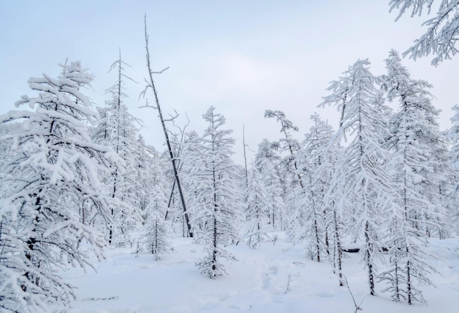 Yakutsk, located deep in Siberia, is renowned as the world's coldest city, where -40°C is considered warm. Image Credit: Getty