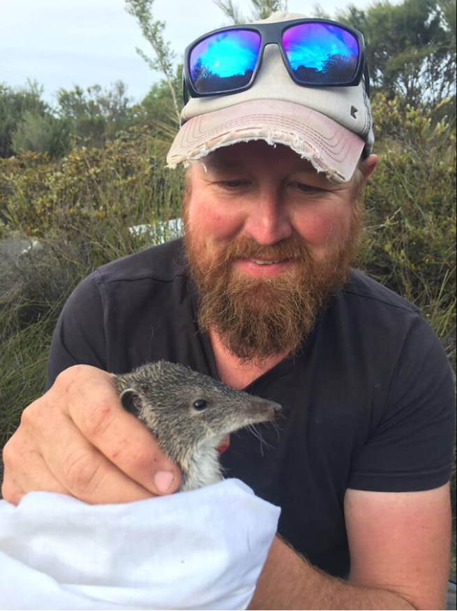 From the brink of destruction: the resurgence of the pygmy possum on Kangaroo Island 5