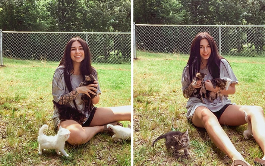 A pregnant woman who had rescued a stray cat discovered they were both expecting babies 8
