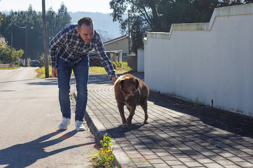 Meat Bobi, the dog who broke the world record as the longest-living dog in history 3