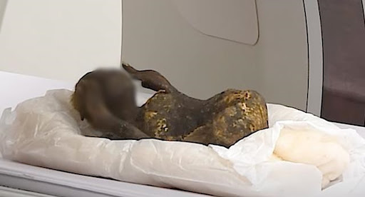 Japan's most mysterious 'mermaid mummy' explained 3