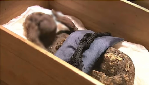 Japan's most mysterious 'mermaid mummy' explained 4