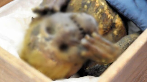 Japan's most mysterious 'mermaid mummy' explained 7