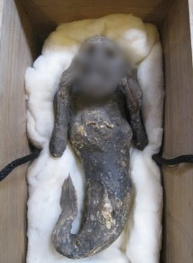 Japan's most mysterious 'mermaid mummy' explained 9