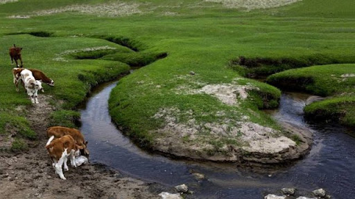 The world's narrowest river: 17 kilometers long but only 4 centimeters wide at the narrowest part, existed 10,000 years ago 2