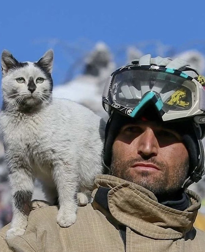 Fireman adopts cat he rescued from the rubble caused by Turkey's earthquake 1