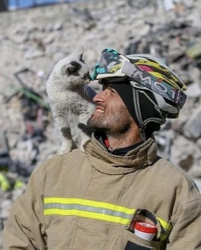 Fireman adopts cat he rescued from the rubble caused by Turkey's earthquake 2