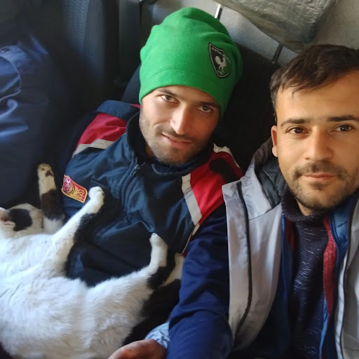 Fireman adopts cat he rescued from the rubble caused by Turkey's earthquake 5