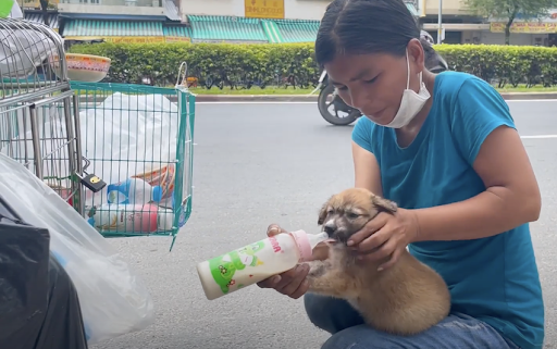 This poverty-stricken couple who work as scrap collectors are giving stray dogs shelter 4