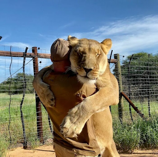 Lioness who loves hugging her human best friend 1