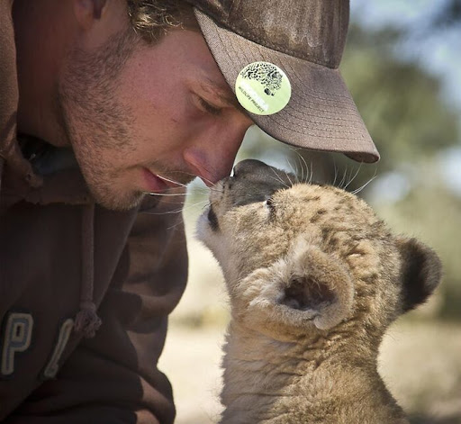 Lioness who loves hugging her human best friend 3