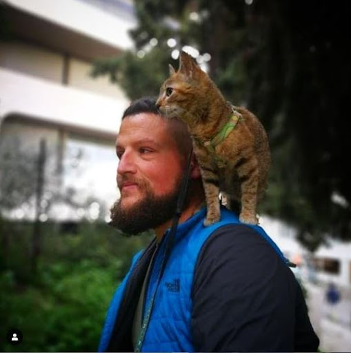 Nala - the cat taken by its owner on a bicycle ride around the world, having over 1 million followers on Instagram 8