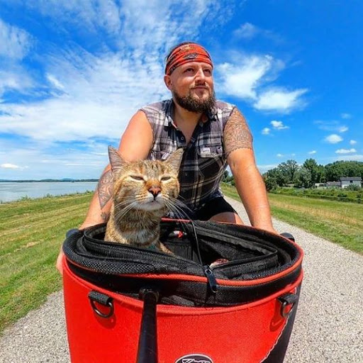Nala - the cat taken by its owner on a bicycle ride around the world, having over 1 million followers on Instagram 9