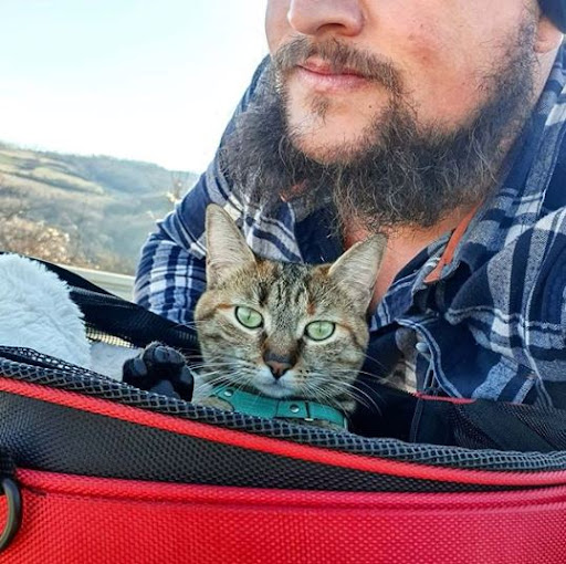 Nala - the cat taken by its owner on a bicycle ride around the world, having over 1 million followers on Instagram 10