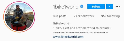 Nala - the cat taken by its owner on a bicycle ride around the world, having over 1 million followers on Instagram 11