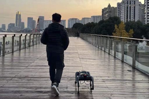 Do robot dogs in China bring a sense of companionship and connection to humans like real dogs? 1