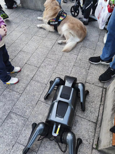 Do robot dogs in China bring a sense of companionship and connection to humans like real dogs? 3