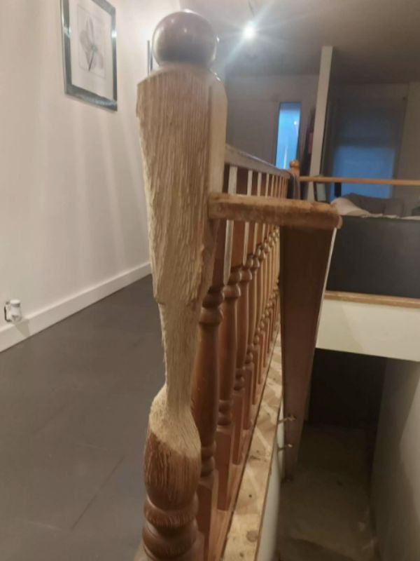 Cedric, a cat artist, turned a wooden banister into art in 11 years 4