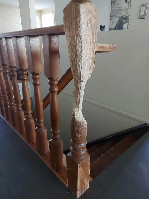 Cedric, a cat artist, turned a wooden banister into art in 11 years 3