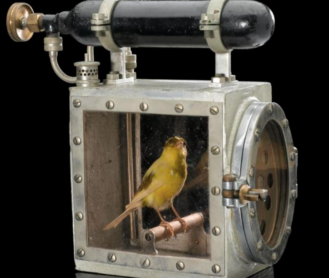  The device that revived canaries in coal mines warned of the peril 1