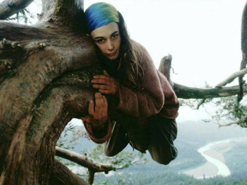 The amazing story of a girl who lived in a redwood tree for 738 days 1