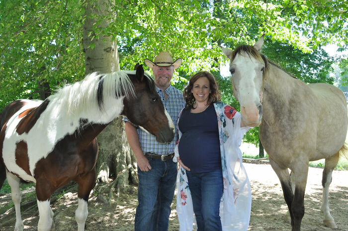 Laughing horse takes the spotlight owner's maternity photoshoot 1