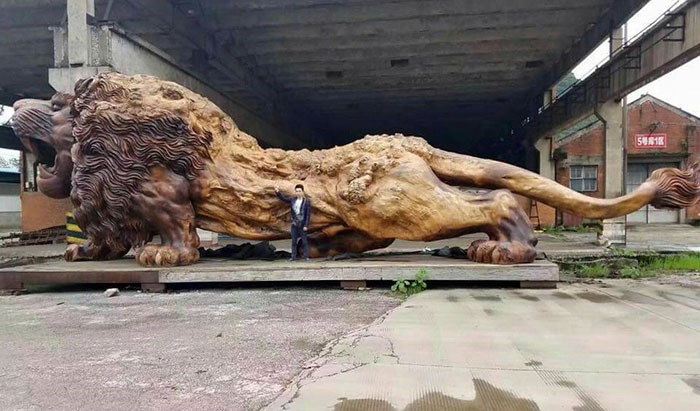 Marvel at the world's largest majestic wooden lion carved from a 15-meter tree 2