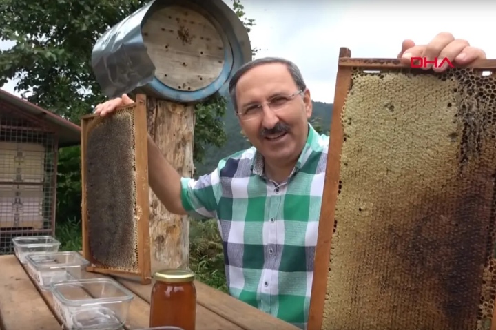 From the honey thief, the wild bear hired by the landlord always works as an appraiser 2