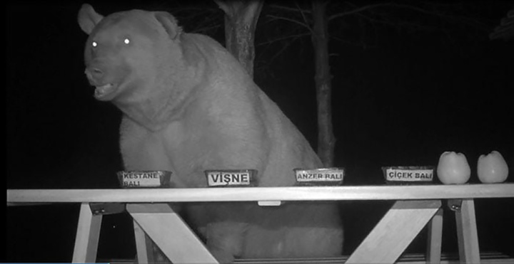 From the honey thief, the wild bear hired by the landlord always works as an appraiser 4
