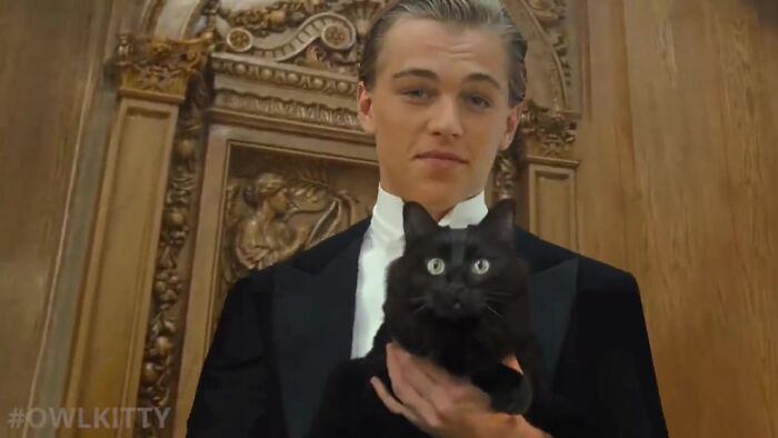 The classic movie 'Titanic' will be more fun if the heroine is replaced by Owl Kitty 3