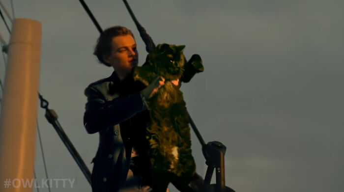 The classic movie 'Titanic' will be more fun if the heroine is replaced by Owl Kitty 8