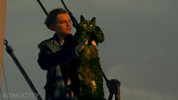 The classic movie 'Titanic' will be more fun if the heroine is replaced by Owl Kitty 9