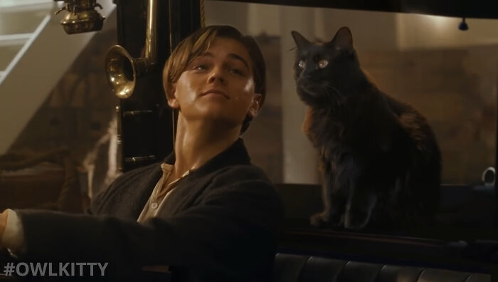 The classic movie 'Titanic' will be more fun if the heroine is replaced by Owl Kitty 14