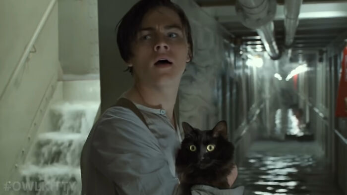 The classic movie 'Titanic' will be more fun if the heroine is replaced by Owl Kitty 17