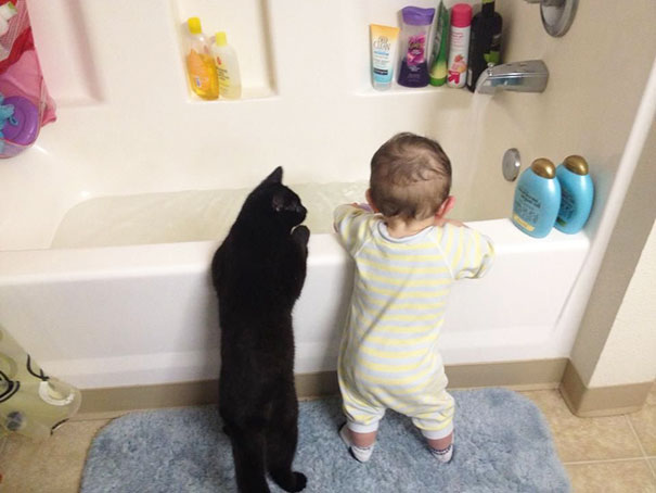 20 photos that prove your baby needs a cat 5