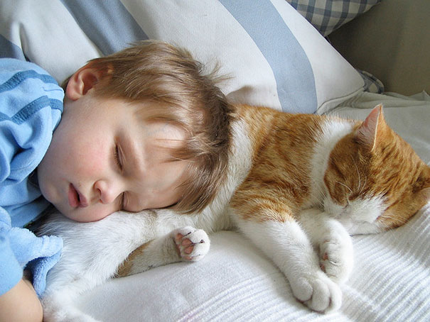20 photos that prove your baby needs a cat 9