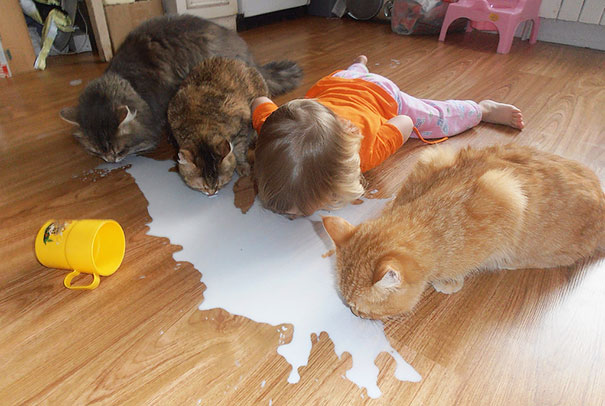 Help your baby clean up spilled milk