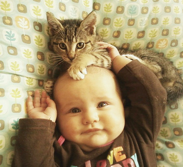 20 photos that prove your baby needs a cat 12