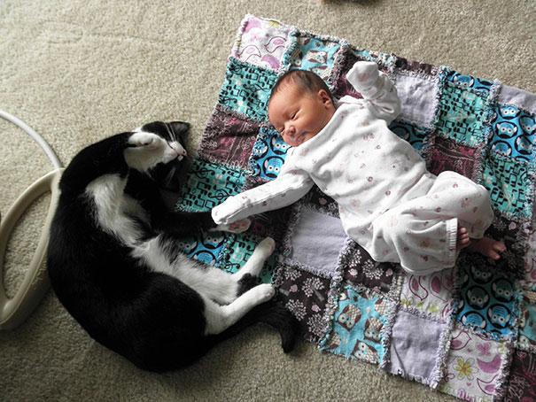 20 photos that prove your baby needs a cat 14