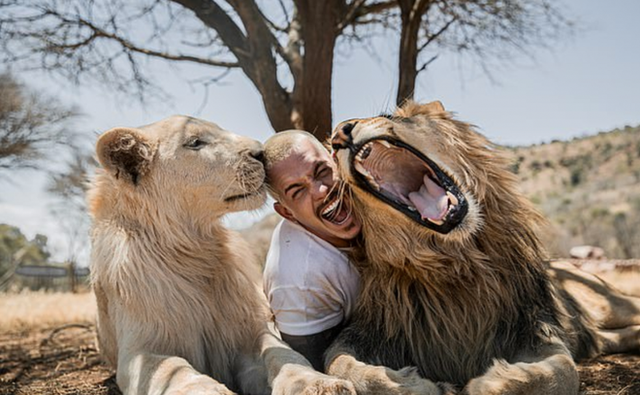 Man quits high-paying job to go to Africa to live, play with wildlife 3