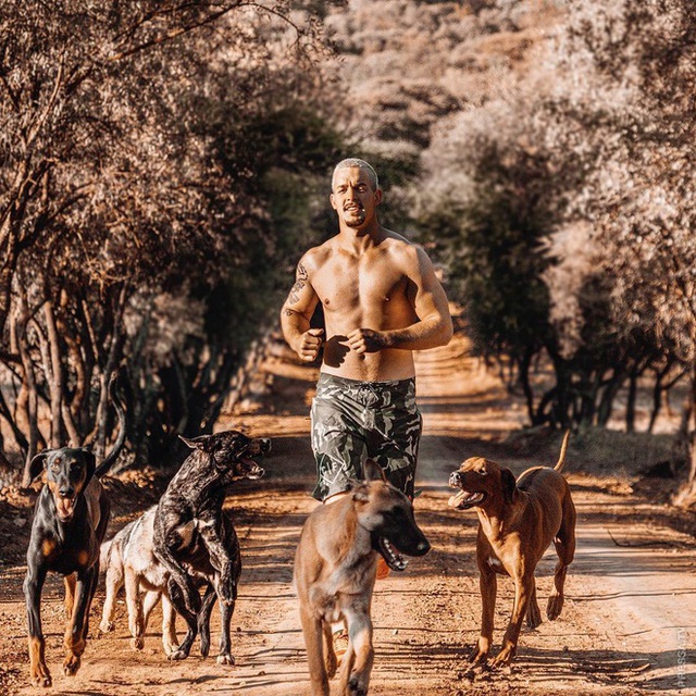 Man quits high-paying job to go to Africa to live, play with wildlife 4