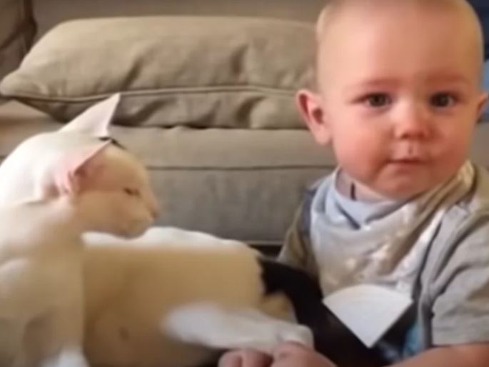 The adorable video of a cat meeting his owner's baby for the first time is sure to melt your heart 2