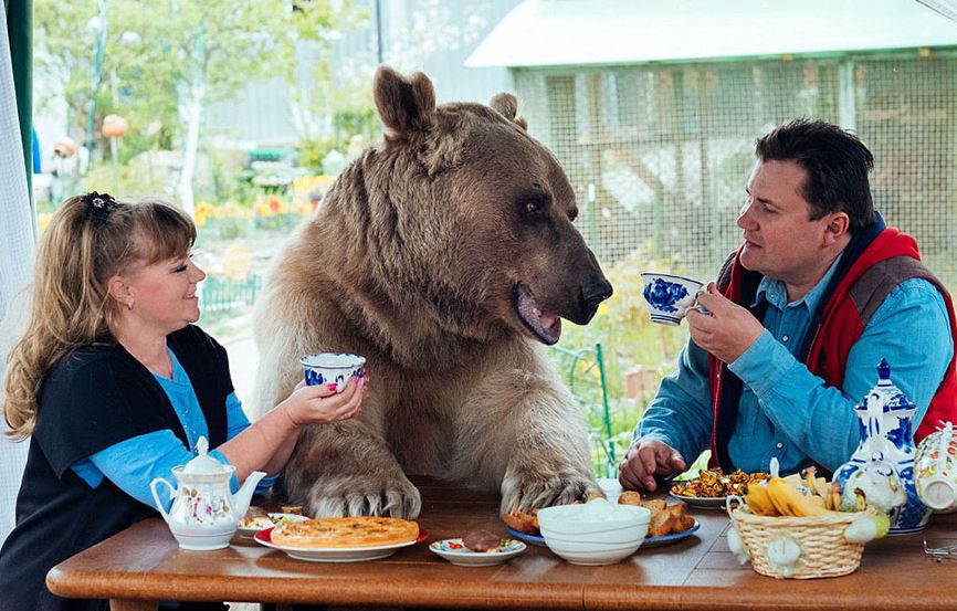 Orphaned bear cub finds a loving home with dedicated couple for over 23 years 1