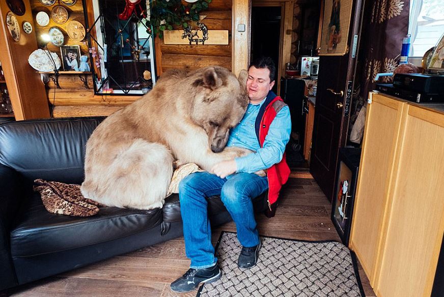 Orphaned bear cub finds a loving home with dedicated couple for over 23 years 2