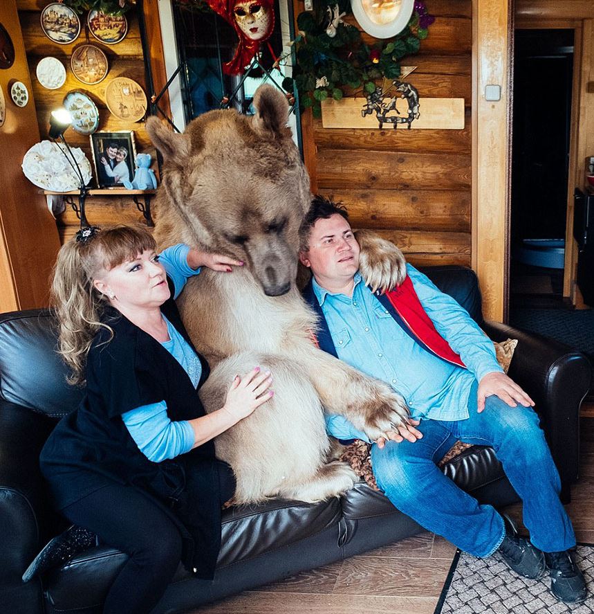 Orphaned bear cub finds a loving home with dedicated couple for over 23 years 4