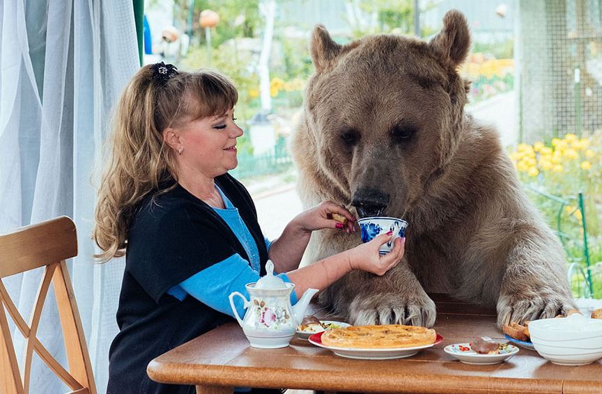 Orphaned bear cub finds a loving home with dedicated couple for over 23 years 3