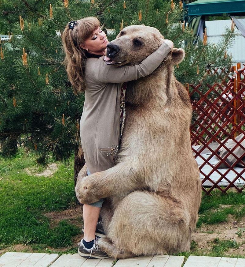 Orphaned bear cub finds a loving home with dedicated couple for over 23 years 5